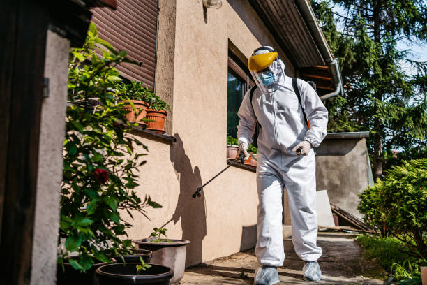 Best Residential Pest Control  in Hockinson, WA