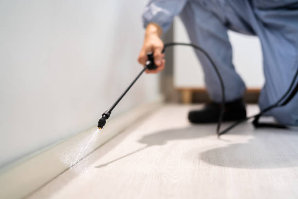 Best Flea Control Services  in Hockinson, WA