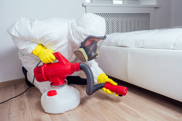 Flea Control Services in Hockinson, WA