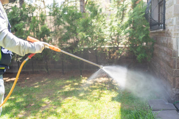 Best Termite Control Services  in Hockinson, WA