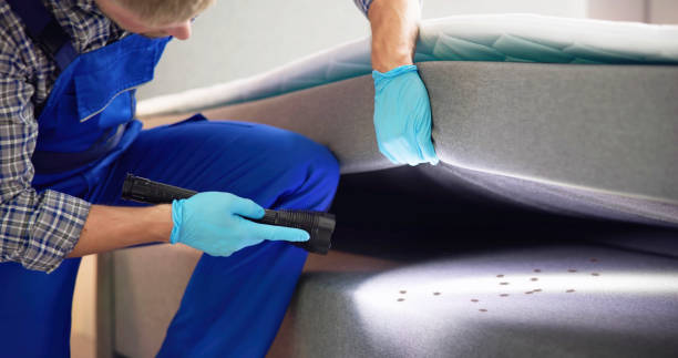 Best Ant Control Services  in Hockinson, WA