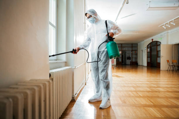 Best Wasp Removal Services  in Hockinson, WA