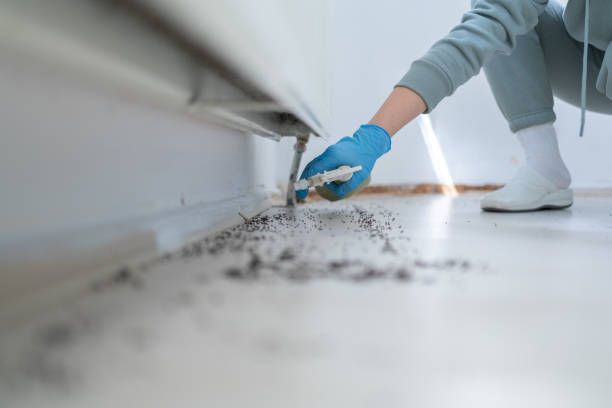 Best Mosquito Control Services  in Hockinson, WA
