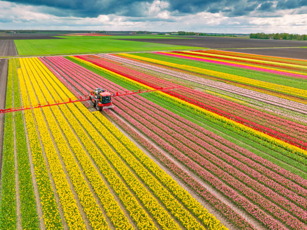 Insect Control in Hockinson, WA